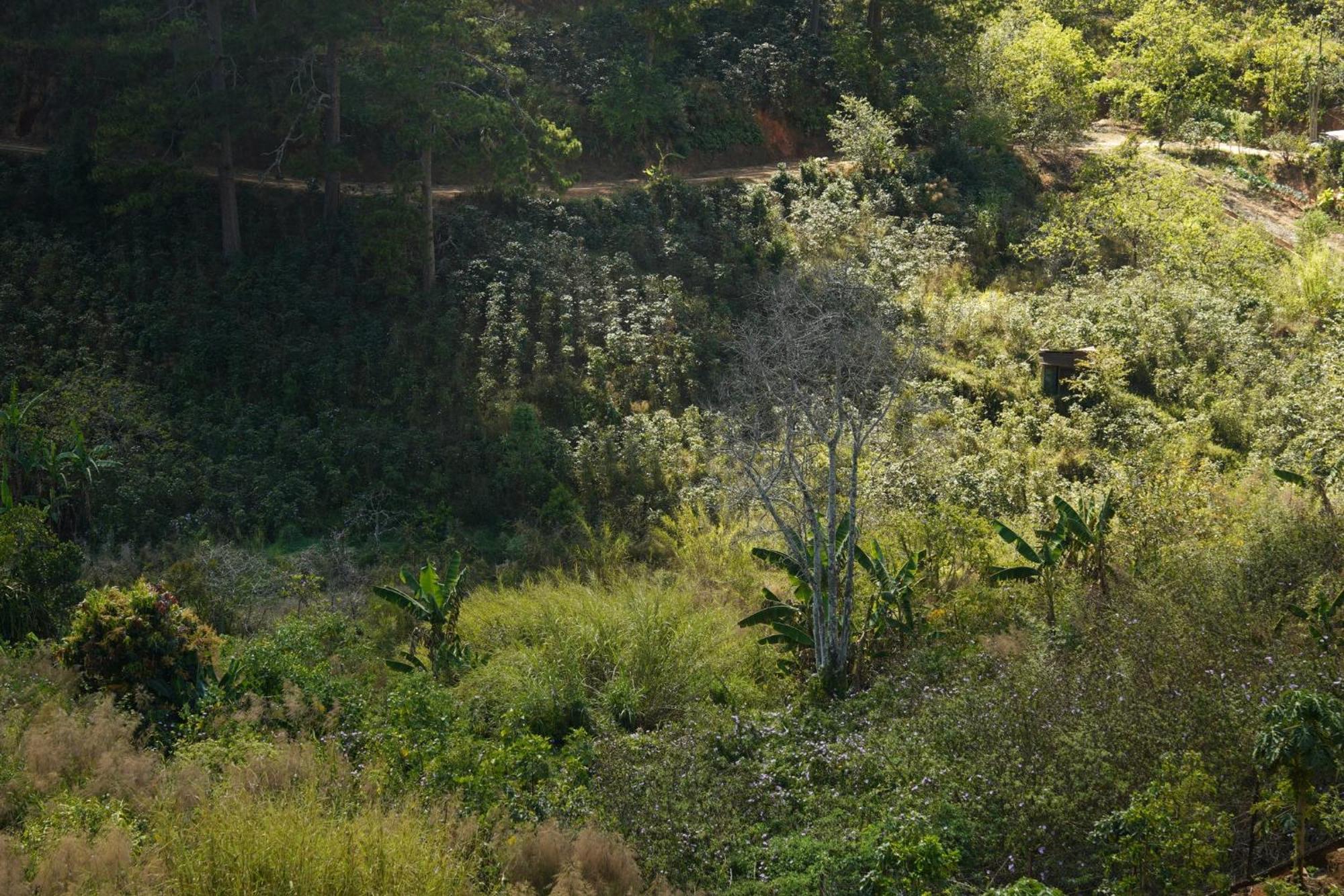 Emai Valley Đà Lạt Ngoại thất bức ảnh